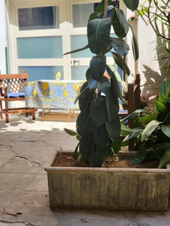 Appartamento San Basilio Loft Palermo Esterno foto